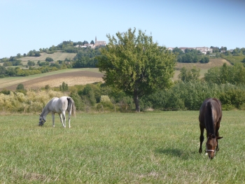 Arrière saison ensoleillée à La Téoulère.