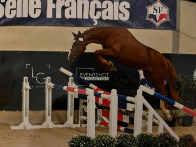LORIOT D'AGENAIS